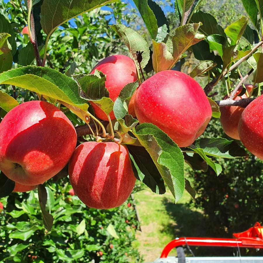 סילנדרו Mareinhof Vetzan-Apples,Apartment&More מראה חיצוני תמונה